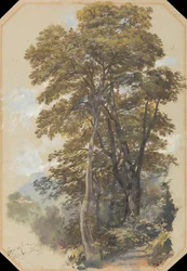 Corpo di Cava, 28 juni 1838